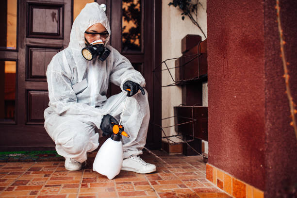 Reliable Wasp Removal contractor in Williamston, SC by Show Me Pest Control
